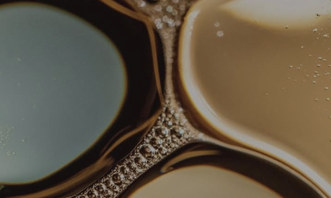 Épigénétique & Chirurgie Esthétique : Quand la Science du Vivant Rencontre l'Art du Geste