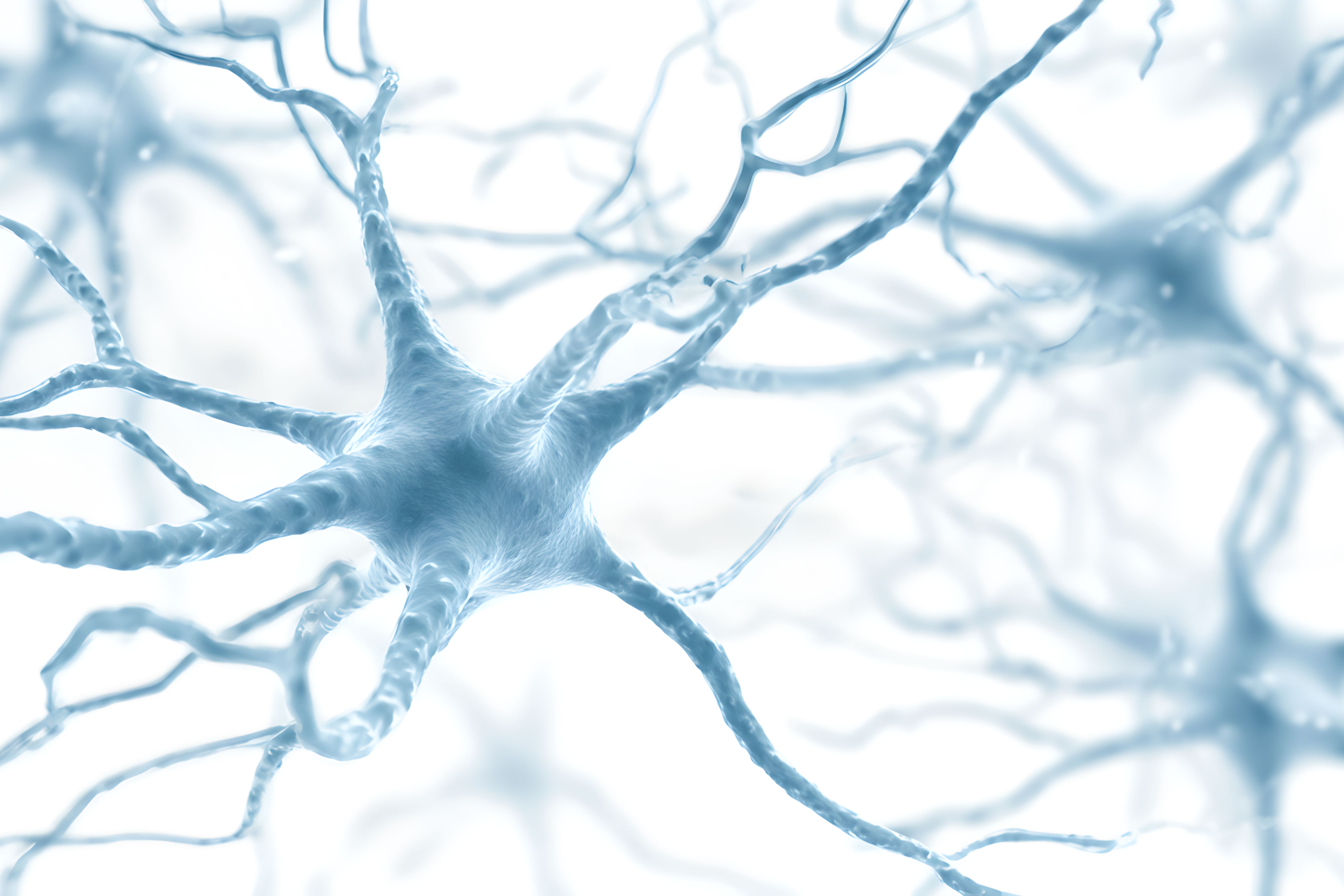 Tanit Neurosurgery - Image 1